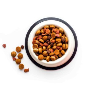 https://www.londondogcare.ca/wp-content/uploads/2018/09/product_06-5-300x300.jpg